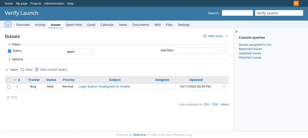 The Verify Launch project's issue list with the new bug