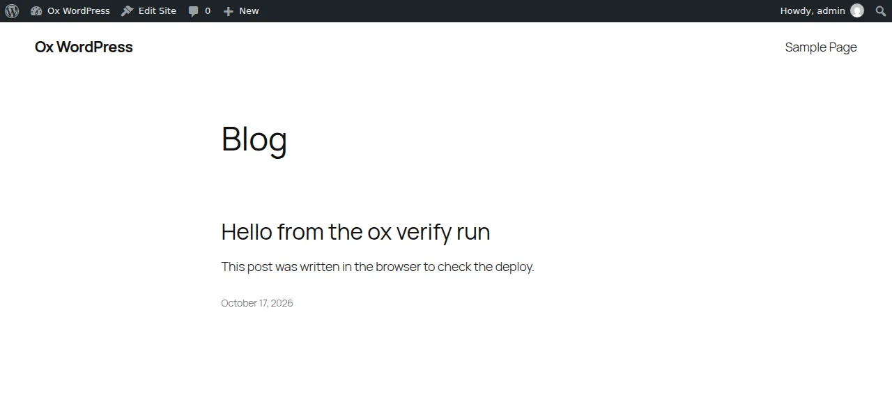The blog showing the post written in the browser